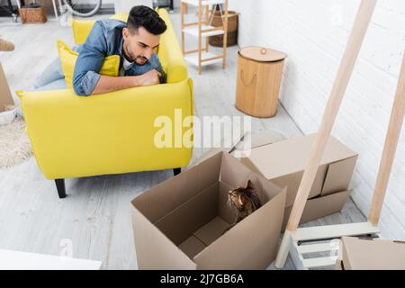 Bengalkatze, die im Karton neben einem arabischen Mann auf der Couch zu Hause sitzt Stockfoto