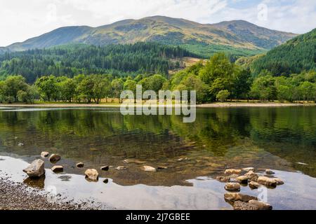 Sommerfarben auf Loch Lubnaig mit Ben Ledi in der Ferne im Loch Lomond and Trossachs National Park in der Nähe von Callander, Stirling Region, Schottland, Stockfoto