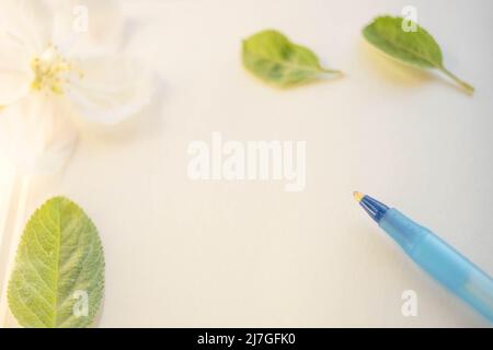 Blauer Stift auf leerem Blatt mit frischen grünen Apfelblättern und weißer Blume Stockfoto