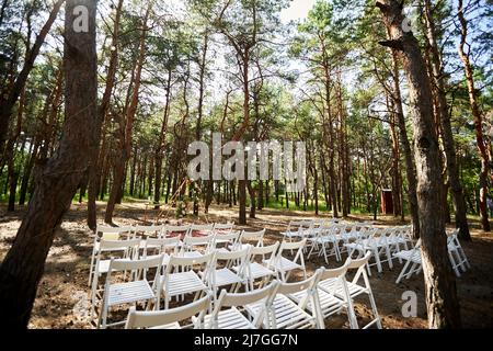 Wunderschöne böhmische Tipi-Bogendekoration auf der Hochzeitsfeier im Freien im Pinienwald mit Kegeln. Stühle, floristische Blumenkompositionen aus Rosen Stockfoto