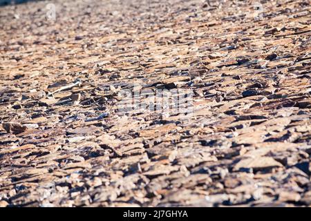 Am Stausee Albufeira da Barragem do Arade in der Nähe von Silves/Algarve in Portugal gibt es nur Felsen Stockfoto