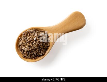 Rohe Dillsamen in einem Holzlöffel isoliert auf weißem Hintergrund. Hölzerne Gewürzschaufel voller trockener anethum graveolens Früchte. Bio-Gewürze. Stockfoto