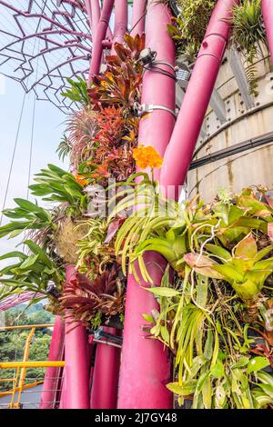 Vertikal gepflanzte supertrees bei Tag, Gardens by the Bay, Singapur Stockfoto