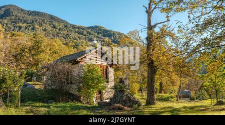 Kastanienwald im Bregaglia-Tal bei Soglio im Herbst, Graubünden, Schweiz Stockfoto