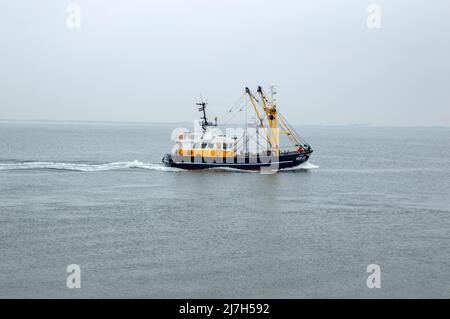 Fischerboot In Den Helder Die Nethrlands 23-9-2019 Stockfoto