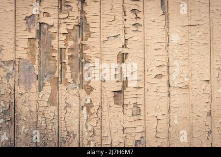 Abblätternde Farbe auf altem Holzzaun. Abstrakter Hintergrund in Pastellbeige, rissige Oberfläche, Struktur mit Plankenmuster Stockfoto
