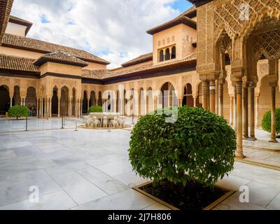 Löwenhof im Nasriden-Palast-Komplex - Alhambra-Komplex - Granada, Spanien Stockfoto
