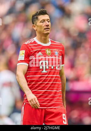 München, Deutschland, 08/05/2022, Robert LEWANDOWSKI, FCB 9 im Spiel FC BAYERN MÜNCHEN - VFB STUTTGART 2-2 1.Deutsche Fußballliga am 08. Mai 2022 in München, Deutschland. Saison 2021/2022, Spieltag 33, 1.Bundesliga, München, 33.Spieltag. FCB, © Peter Schatz / Alamy Live News - die DFL-VORSCHRIFTEN VERBIETEN DIE VERWENDUNG VON FOTOS als BILDSEQUENZEN und/oder QUASI-VIDEO - Stockfoto