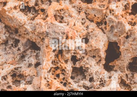 Abstrakt Natur echt Foto Hintergrund. Makro Nahaufnahmen Details Trockengestein Riss Stein feste schaumige Formationen oder Lava vulkanischen, Bimsstein Textur uralt Stockfoto