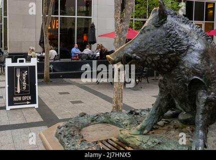 Il porcellino Skulptur in der Innenstadt von Greenville SC Stockfoto