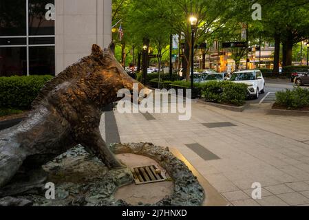 Il porcellino Skulptur in der Innenstadt von Greenville SC Stockfoto