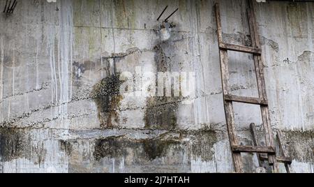 Alte graue, befleckte Betonwand im 2. Stock mit Holzleiter, die an der Wand gelehnt ist Stockfoto
