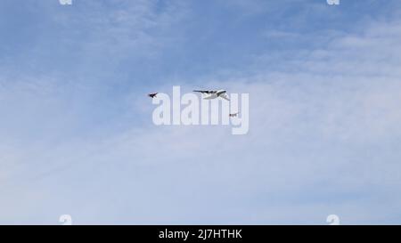 Moskau, Russland, Mai 2022: Das Tankerflugzeug IL-78. Begleitet von Mig-29 Kämpfern. Flugzeuge, die an der Generalprobe der Militärparade teilnehmen. Stockfoto