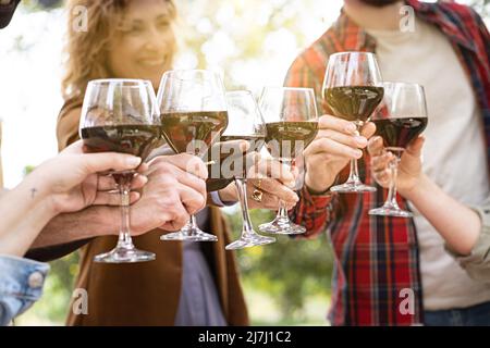 Aus der Nähe von Freunden klirrende Gläser Rotwein auf dem Land - eine Gruppe von Menschen aus mehreren Generationen, die Weingläser auf dem Bauernhof toasten Stockfoto