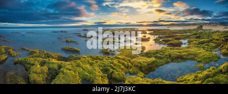 Panorama der mit Algen bedeckten Felsen bei Sonnenuntergang am Fairhaven Beach, Great Ocean Road, Victoria, Australien Stockfoto