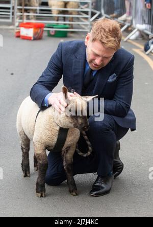 Sir Kenneth Branagh, der auf Leads SCHAFE läuft, nachdem er die Freiheit der Stadt in Stratford-upon-Avon erhalten hatte Stockfoto