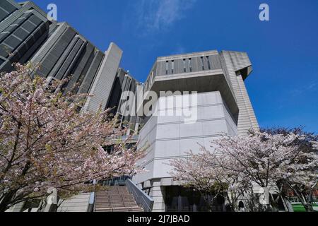 Toronto, Ontario, Kanada - 9. Mai 2022: Kirschbäume blühen an der Universität von Toronto vor dem Hauptgebäude der Bibliothek Stockfoto