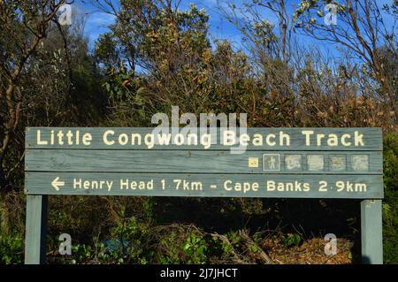 Blick auf den Little Congwong Beach Track in der Nähe von La Peruse in Sydney, Australien Stockfoto