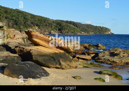 Ein Blick auf den Congwong Beach in der Nähe von La Perouse in Sydney, Australien Stockfoto