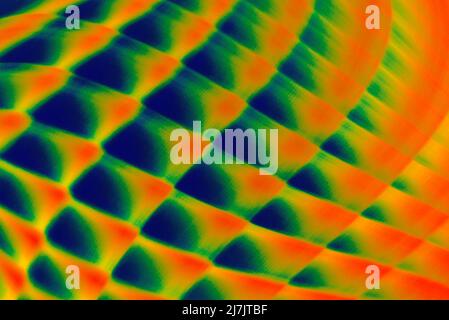 Computergeneriertes Design von Wellen wechselnder Farbe Stockfoto