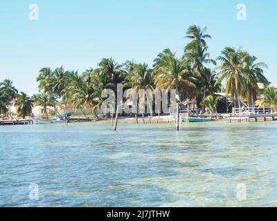 Blick auf Caye Caulker vom Wasser aus Stockfoto