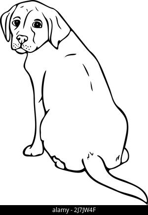 Vektordarstellung des handgezeichneten labradors. Schwarz-weißer Hund. Stock Vektor