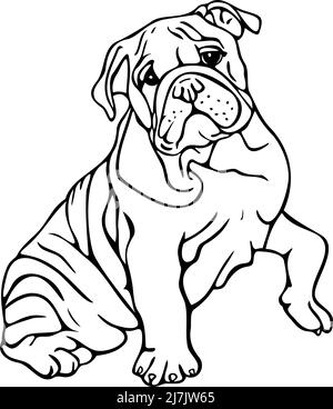 Vektor-Illustration von schwarz-weißen Bulldogge mit angehobener Pfote. Handgezogener Hund. Stock Vektor