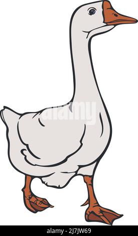 Vektor-Illustration von Gans. Gänse gefärbt und durch eine Linie dargestellt. Stock Vektor