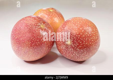 Drei ganze Passionsfrüchte mit hellrosa roter Haut auf weißem Hintergrund Stockfoto