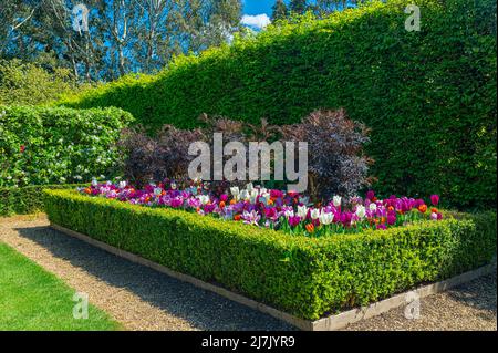 Szenen aus den Gärten im East Ruston Old Vicarage Garden in East Norfolk, Großbritannien. Stockfoto