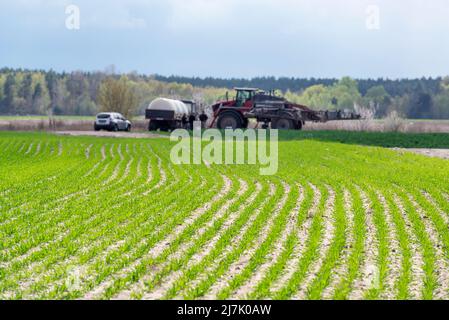 Frühlingsgrün Feld und Landmaschinen im Hintergrund. Konzentrieren Sie sich auf den jungen Weizen. Stockfoto