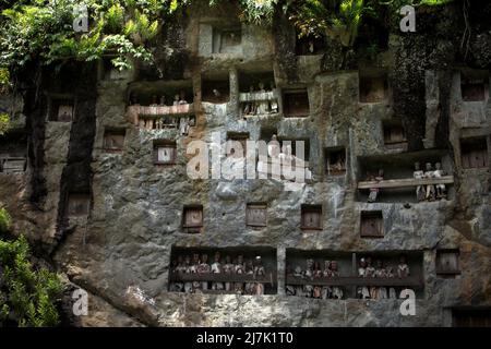 Steingrabeöffnungen und Holzraster auf einer Klippe an einer traditionellen Grabstätte in Lemo, Nord-Toraja, Süd-Sulawesi, Indonesien. Stockfoto