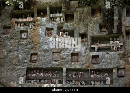 Steingrabeöffnungen und Holzraster auf einer Klippe an einer traditionellen Grabstätte in Lemo, Nord-Toraja, Süd-Sulawesi, Indonesien. Stockfoto