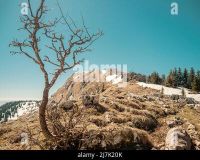 Atemberaubende Aussicht von den Jura-Bergen auf die Französisch / Schweizer Alpen über den Genfer See an einem schönen Winter knackigen Tag. Stockfoto