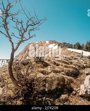 Atemberaubende Aussicht von den Jura-Bergen auf die Französisch / Schweizer Alpen über den Genfer See an einem schönen Winter knackigen Tag. Stockfoto