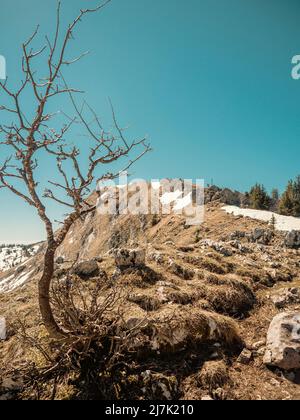 Atemberaubende Aussicht von den Jura-Bergen auf die Französisch / Schweizer Alpen über den Genfer See an einem schönen Winter knackigen Tag. Stockfoto