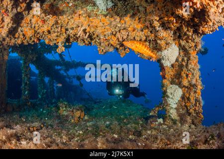 Tauchen im Vassilios Wrack, Insel Vis, Mittelmeer, Kroatien Stockfoto