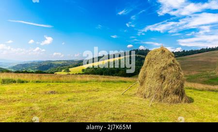 haystacks auf dem grasbewachsenen Feld auf dem Hügel. Schöne ländliche Landschaft in den karpaten an einem sonnigen Sommertag. Flauschige Wolken am blauen Himmel in e Stockfoto