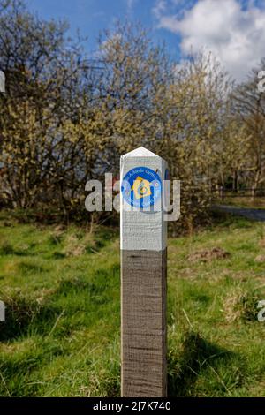 Zweisprachiger hölzerner waliser und englischer walisischer Küstenpfad, der den öffentlichen Weg markiert, mit Bäumen im Hintergrund in der nordwalisischen Landschaft großbritanniens Stockfoto