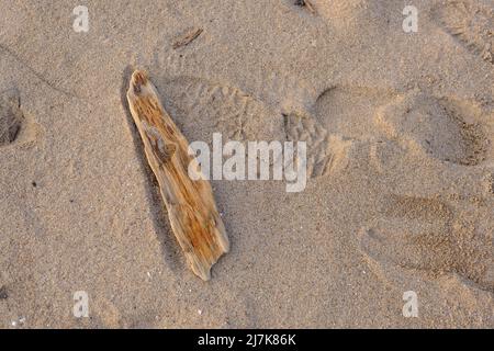 Altes Holzstück am Sandstrand mit Aufdruck von Schuhen bei Sonnenuntergang Stockfoto