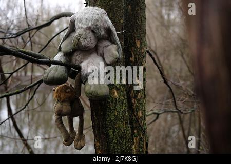 Ein verlassene Spielzeug sitzt auf einem Ast von Bäumen im Waldsumpf und schaut nach unten. Stockfoto