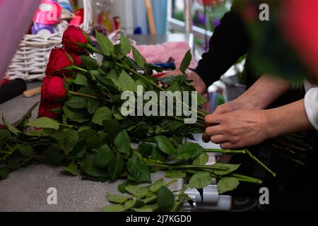 Blumenhändler bei der Arbeit. Nahaufnahme weibliche Hände schneiden Rosen Frau macht einen Strauß von roten Rosen für Valentinstag. Frische Rosen für Bouquet Lieferung Stockfoto