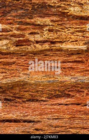 Vollformat Hintergrund von trockenen braunen Holzoberfläche mit schäbig rau unebene Textur und Risse mit Kratzern in der Natur Licht Stockfoto