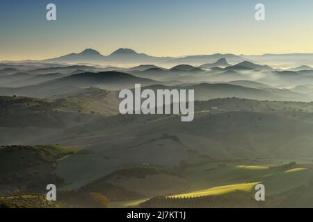 Hügeliges Gelände mit grünem Gras und Bäumen, das sich an nebligen Tagen mit Sonnenlicht vor dem klaren, wolkenlosen Himmel auf dem Land befindet Stockfoto