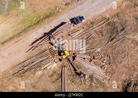 Der Kranführer lädt Holzstapel auf den LKW Stockfoto