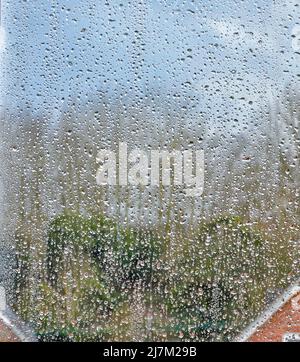 Regentropfen auf einem Fenster. Stockfoto