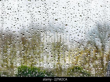 Regentropfen auf einem Fenster. Stockfoto