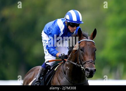 Aktenfoto vom 08-07-2021 von Baaeed, der bereit ist, für seinen mit Spannung erwarteten saisonalen Wiederauftritt bei den Al Shaqab Lockinge Stakes in Newbury am Samstag zu gehen. Ausgabedatum: Dienstag, 10. Mai 2022. Stockfoto