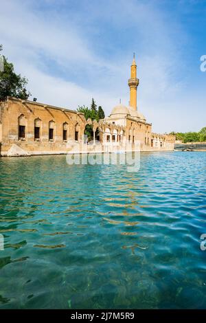 Balikligol (der Fischsee auf Englisch) in Sanliurfa, Türkei. Der historische Pool von Abraham oder der Pool des Heiligen Fischs in der Stadt Urfa, Türkei Stockfoto