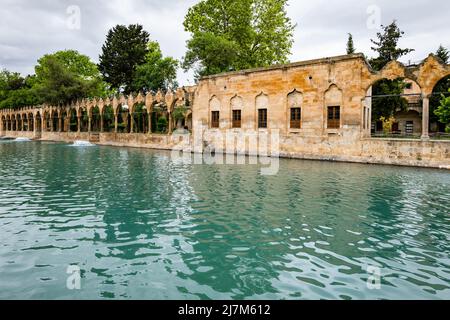 Balikligol (der Fischsee auf Englisch) in Sanliurfa, Türkei. Der historische Pool von Abraham oder der Pool des Heiligen Fischs in der Stadt Urfa, Türkei Stockfoto
